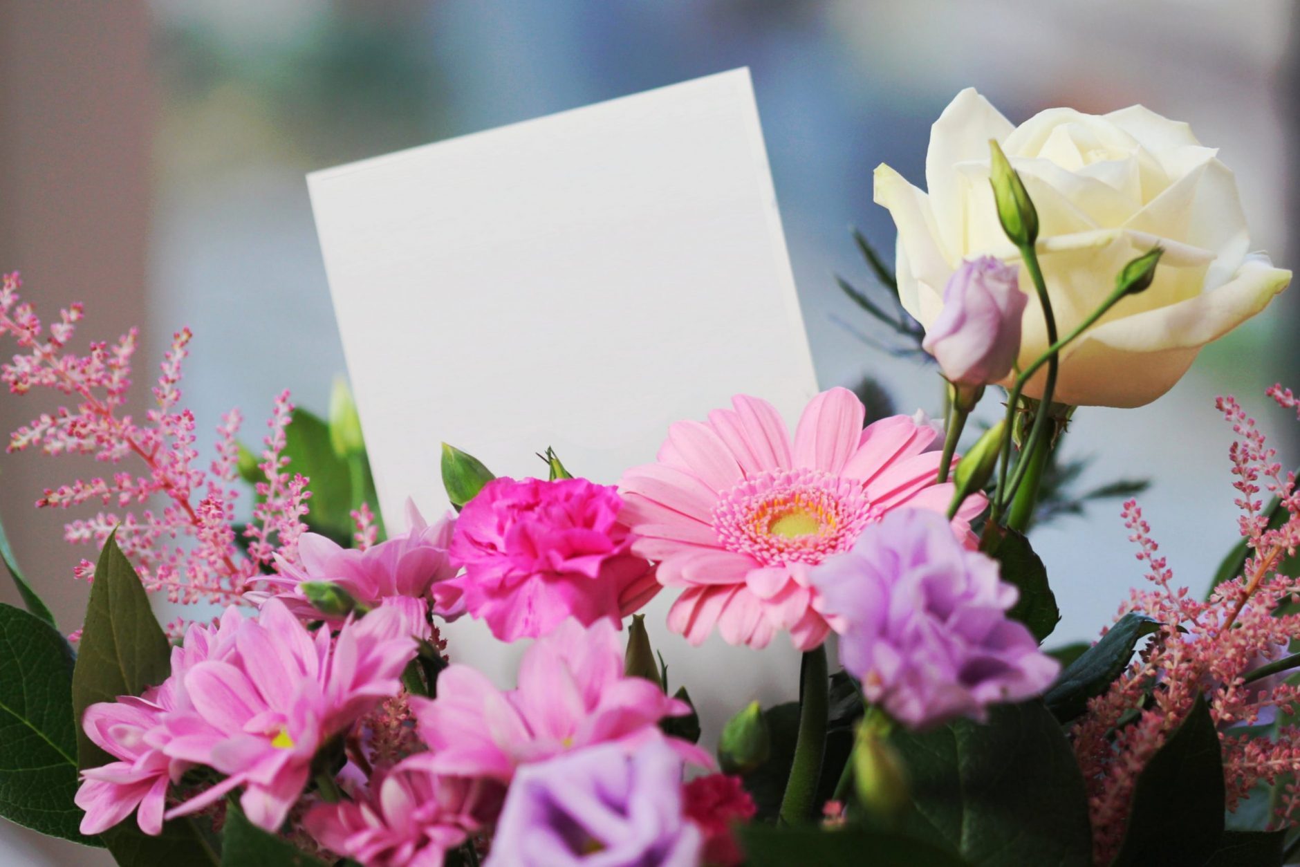 Image for Flowers